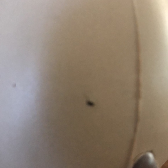 Collectible Pusheen Stress Ball Squishy - Picture 5 of 16